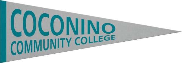 Coconino Community College 5x15 Pennant